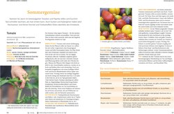 Innenansicht 7