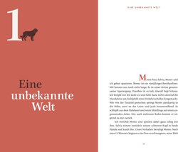 Innenansicht 5