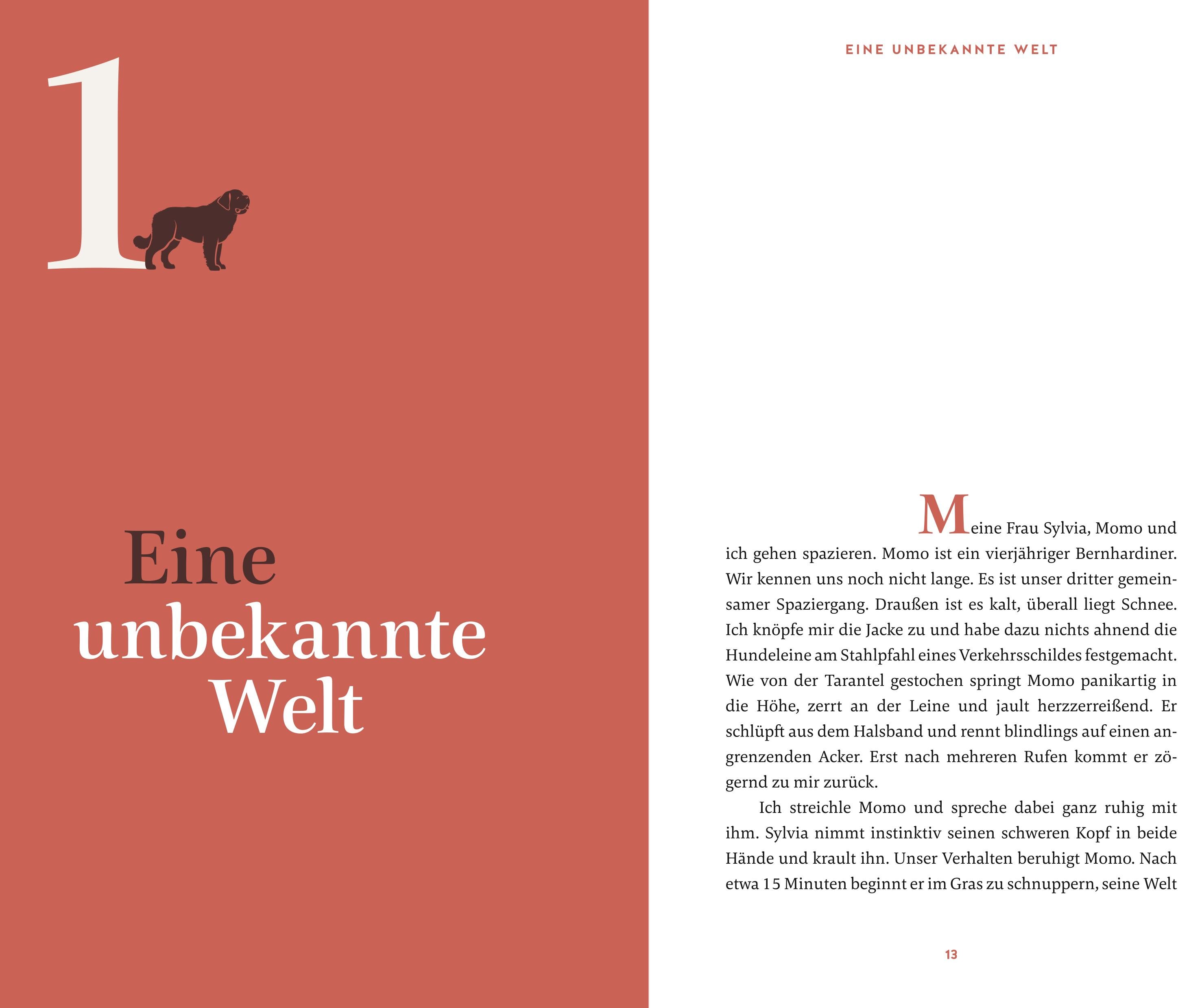 lesen