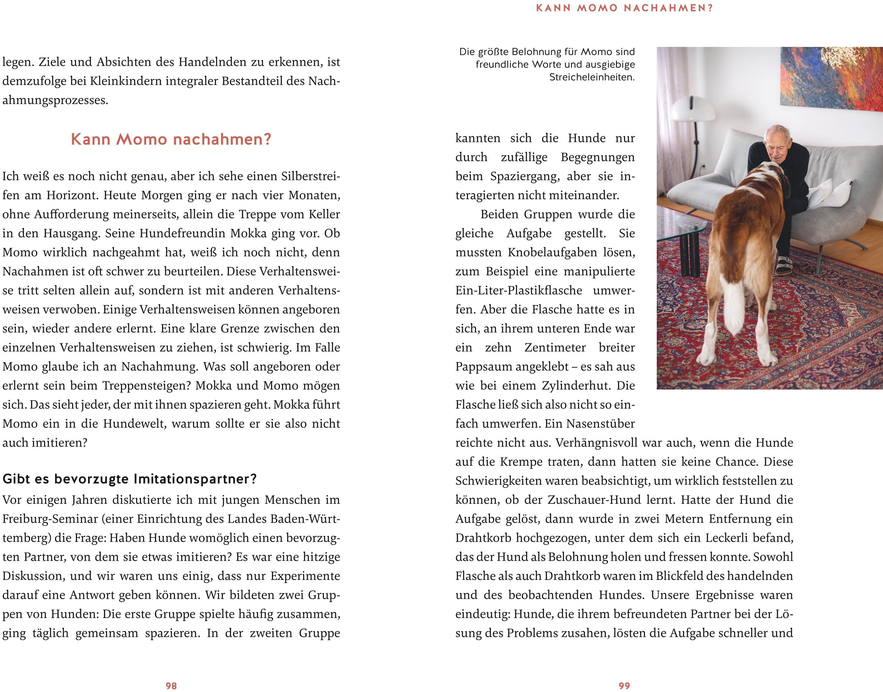lesen