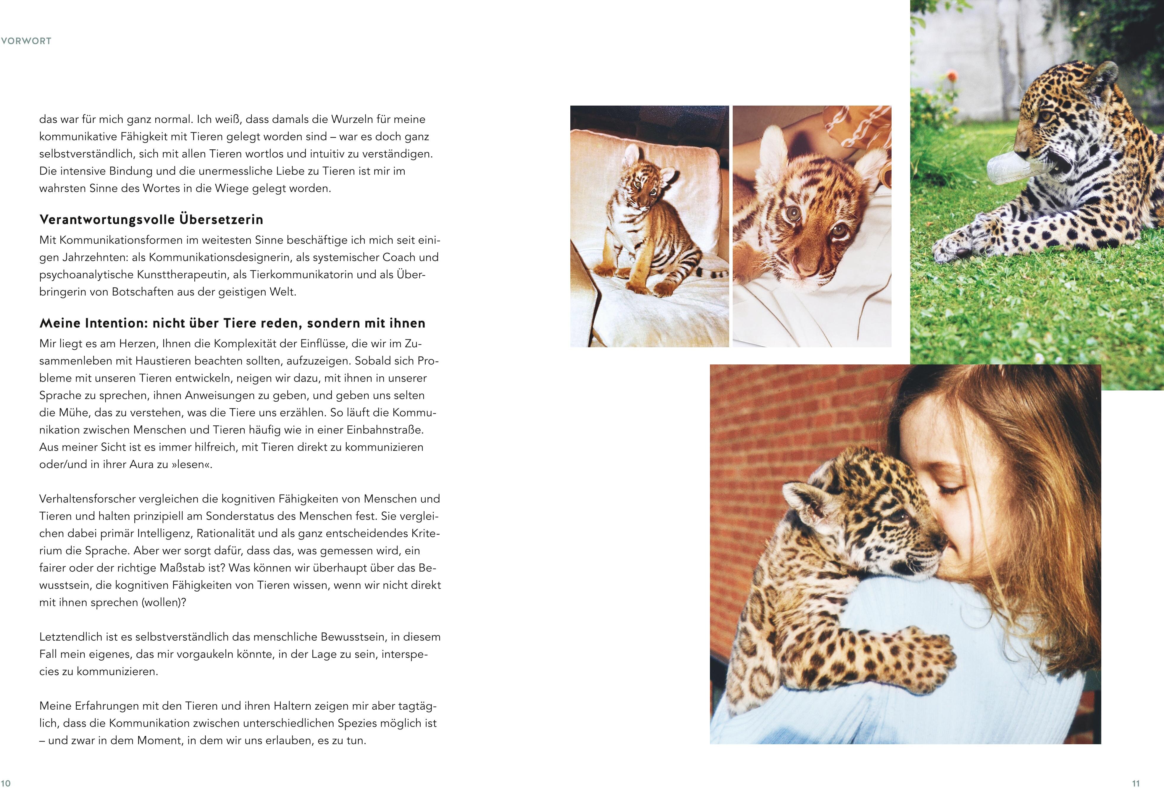 lesen