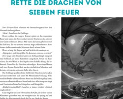 Innenansicht 17