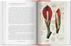 Innenansicht 6