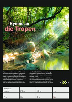 Innenansicht 5
