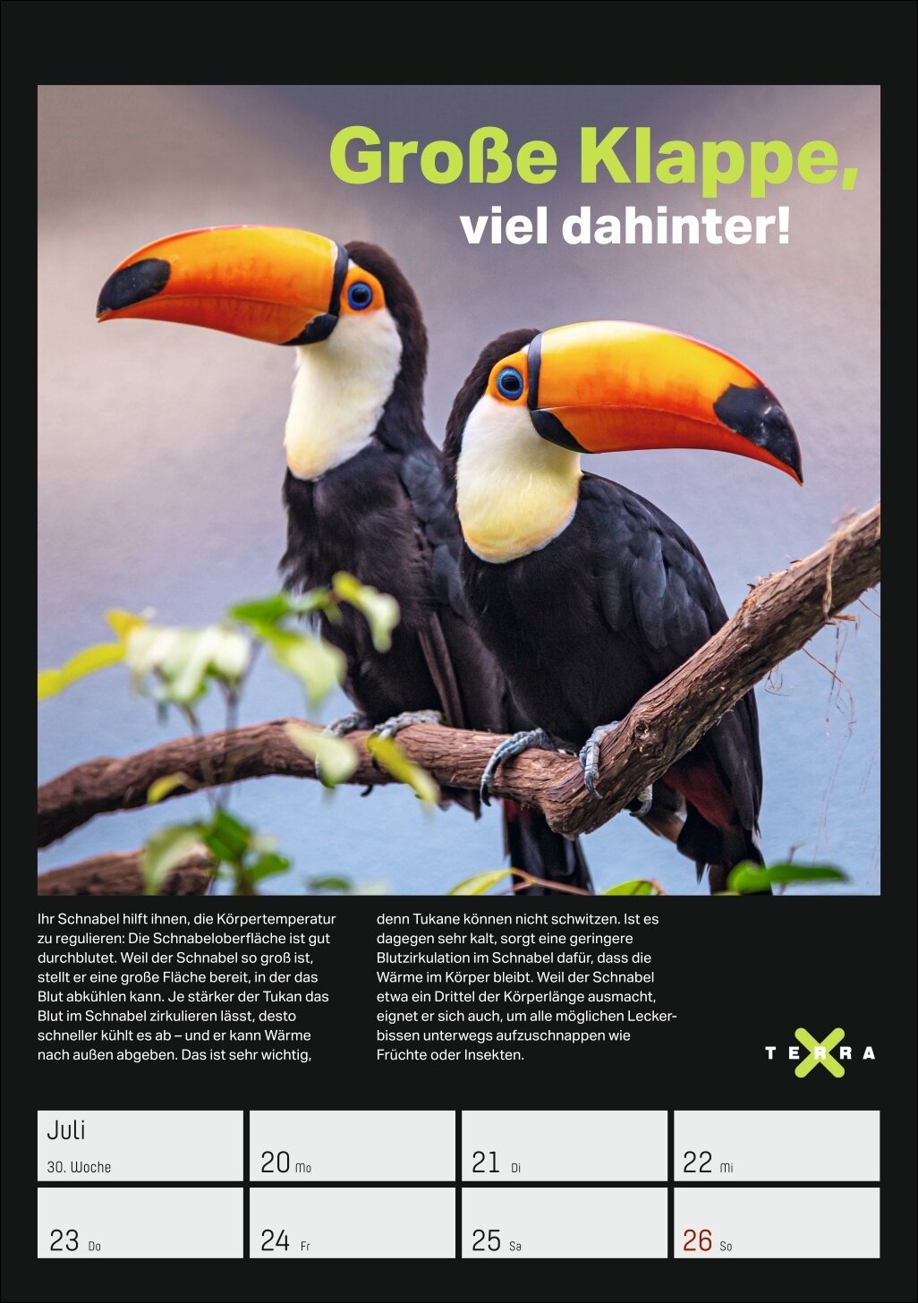 lesen