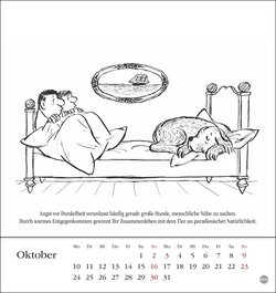 Innenansicht 10