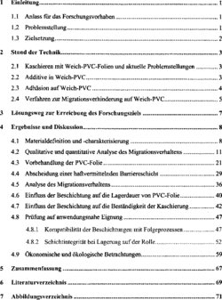 Inhaltsverzeichnis 1