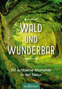 Innenansicht 4