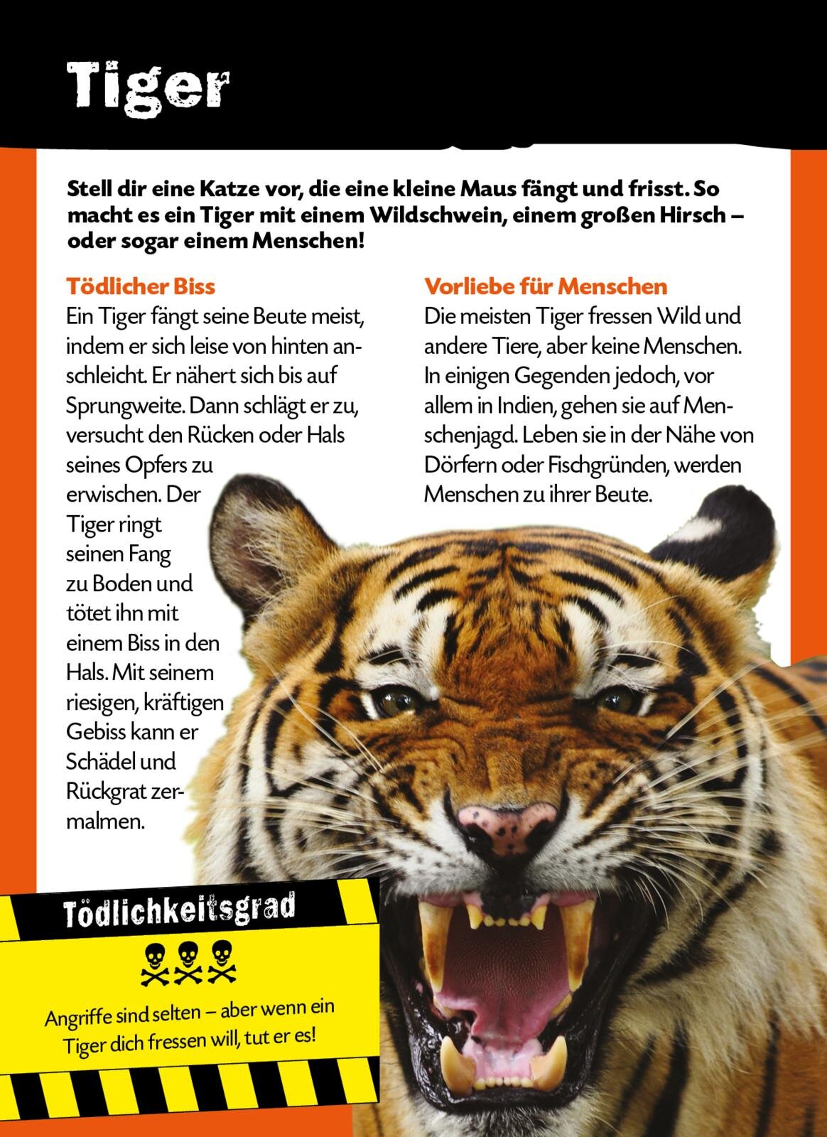 lesen
