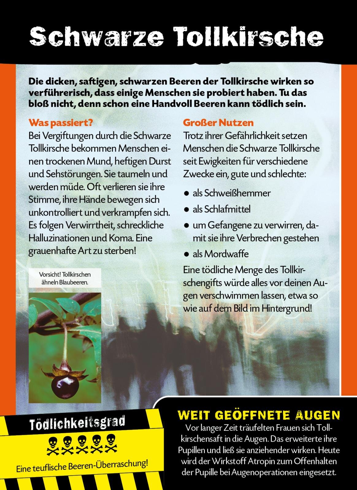 lesen