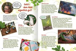Innenansicht 5