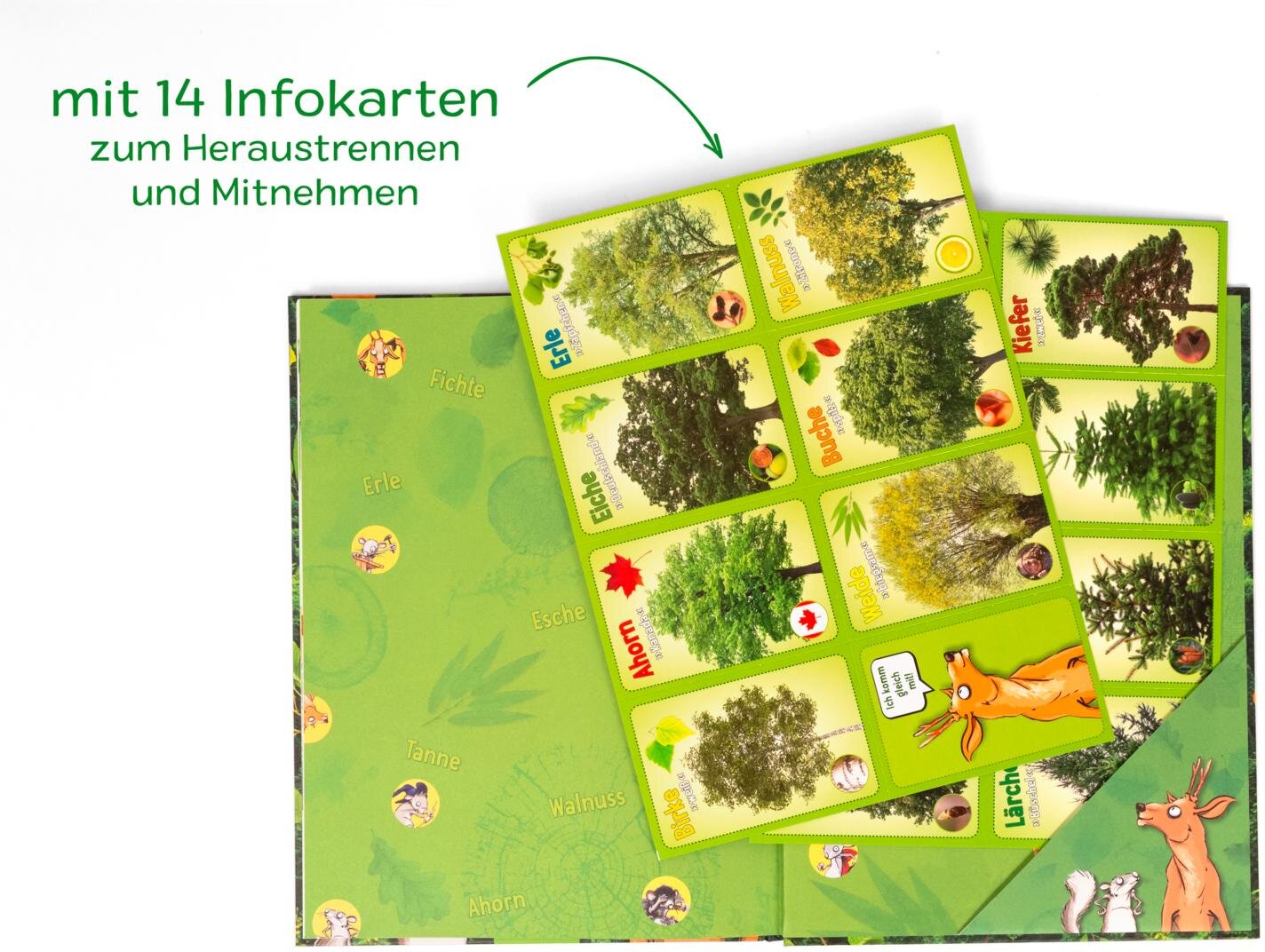 lesen