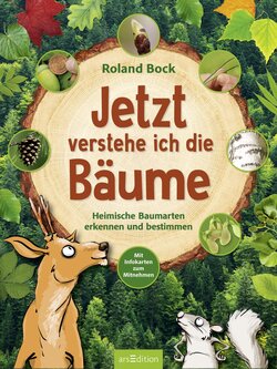 Innenansicht 8
