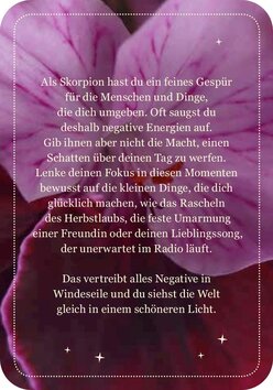 Innenansicht 5