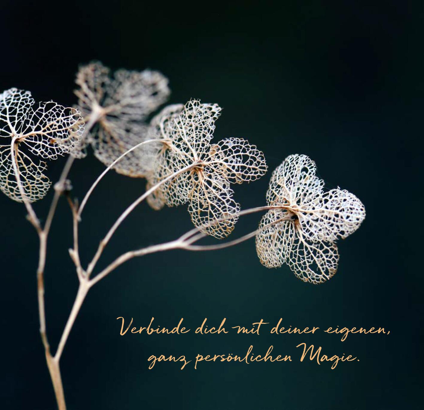 lesen