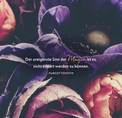 Innenansicht 3