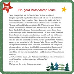 Innenansicht 6