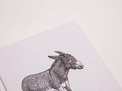 Innenansicht 8