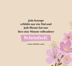 Innenansicht 2