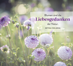 Innenansicht 5