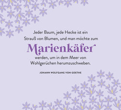 Innenansicht 6