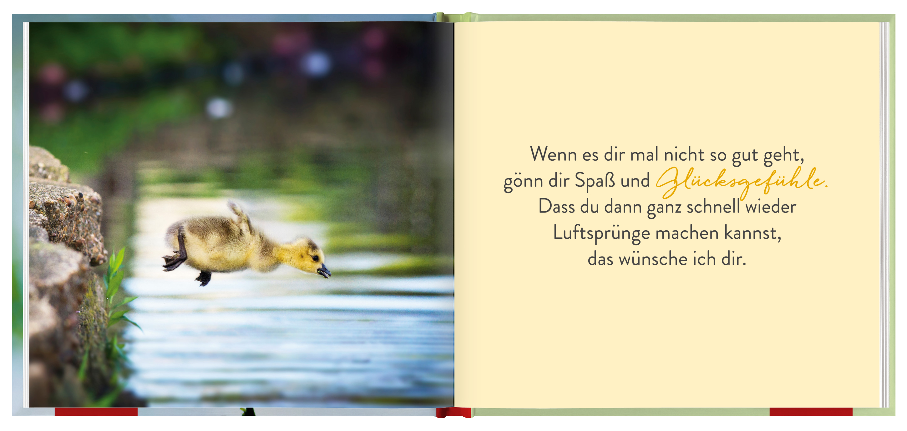 lesen