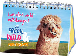 Innenansicht 1