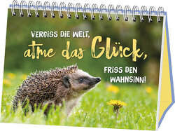 Innenansicht 5