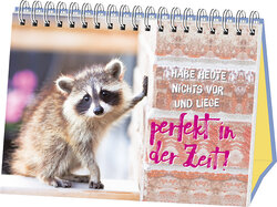 Innenansicht 8