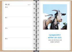 Innenansicht 7