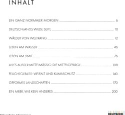 Inhaltsverzeichnis 1