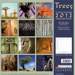 Backcover