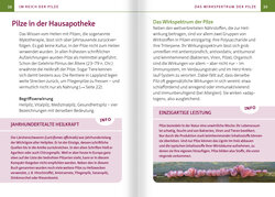 Innenansicht 2