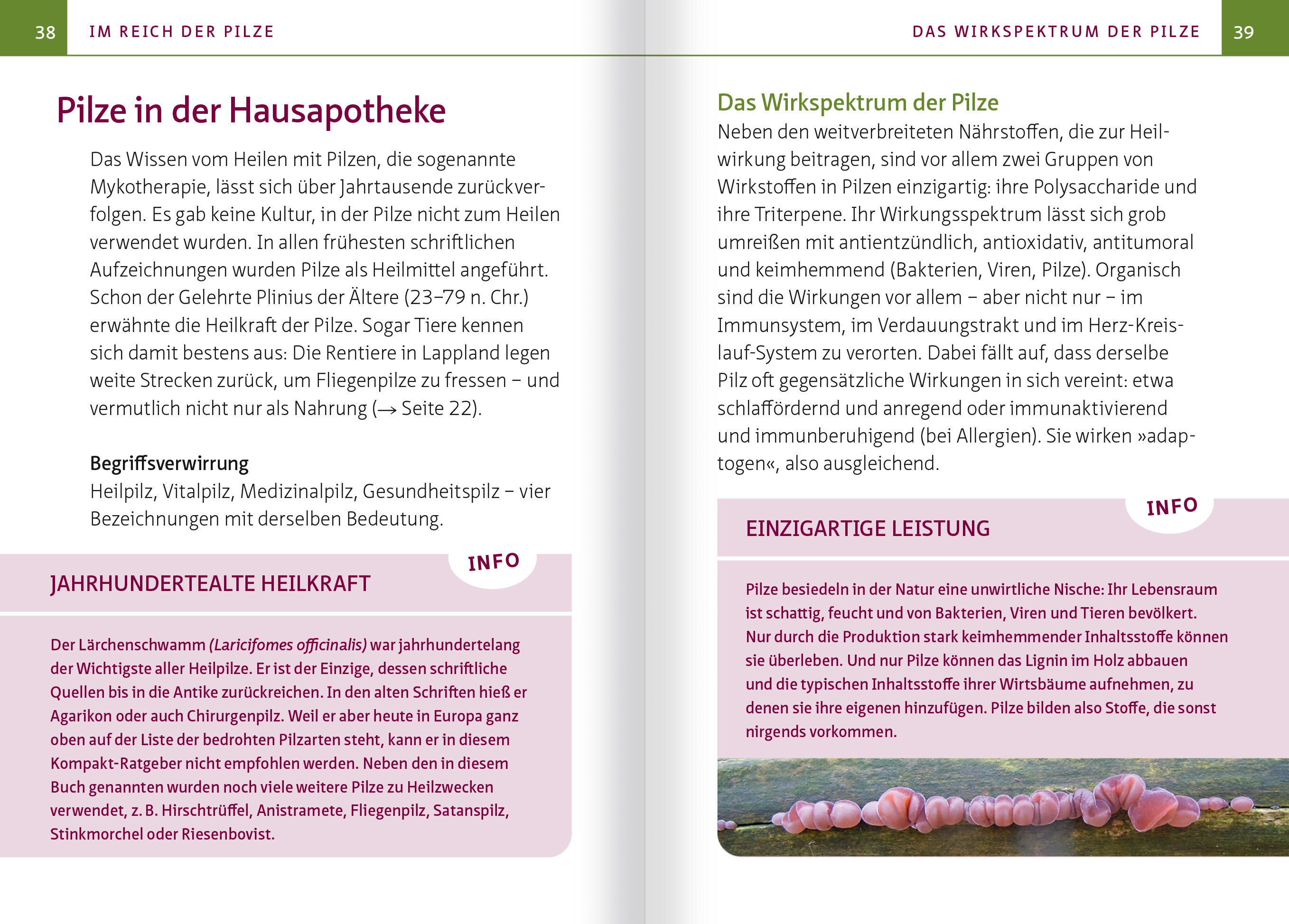 lesen