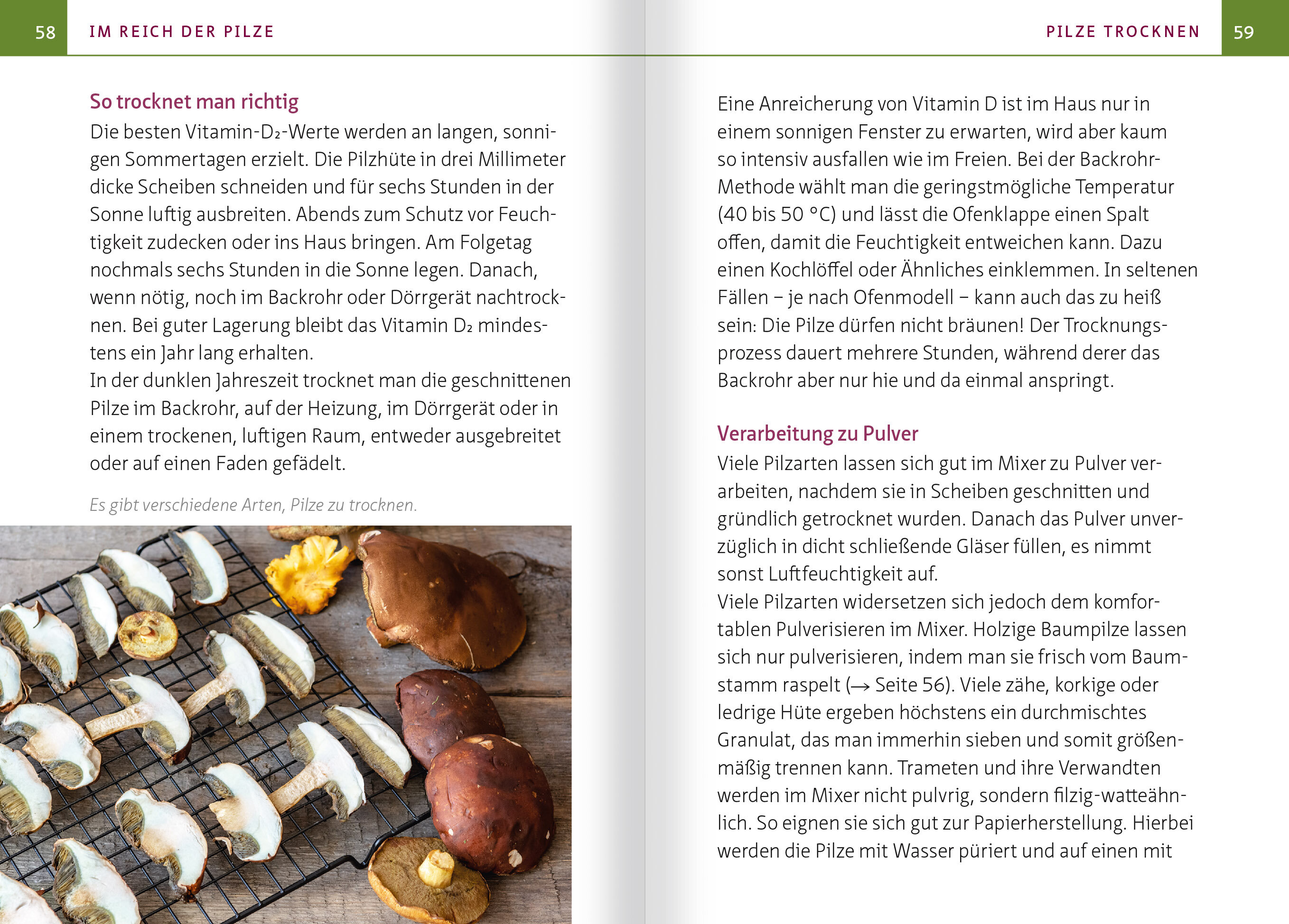 lesen
