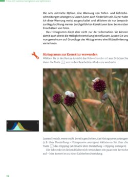 Leseprobe 2