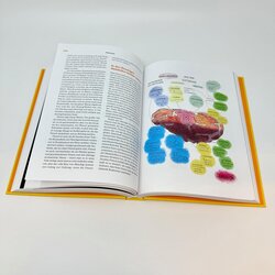 Innenansicht 5