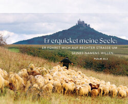 Innenansicht 6