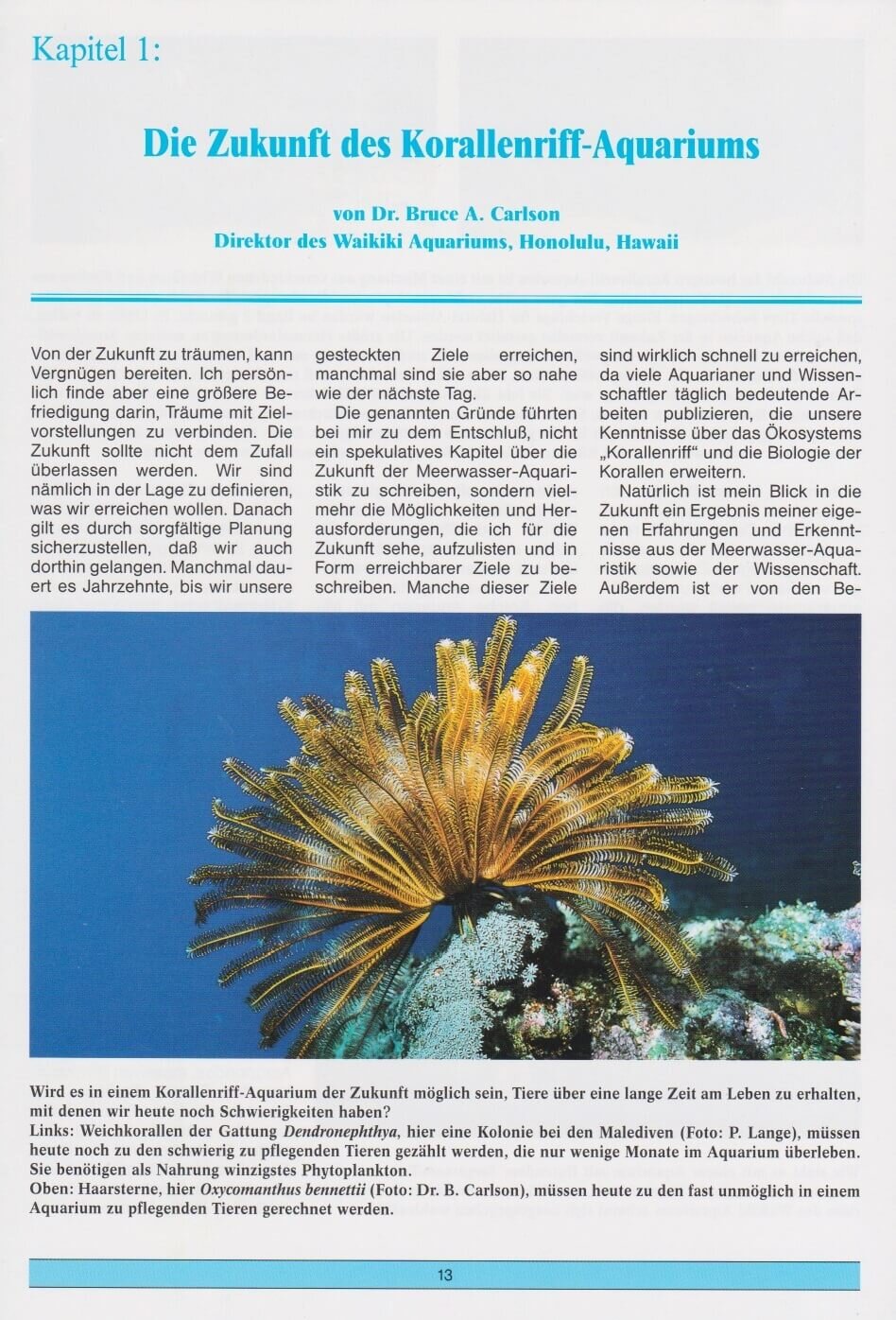 lesen