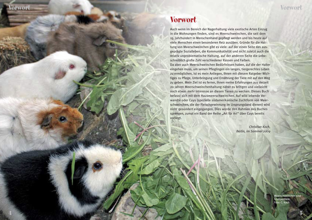 lesen