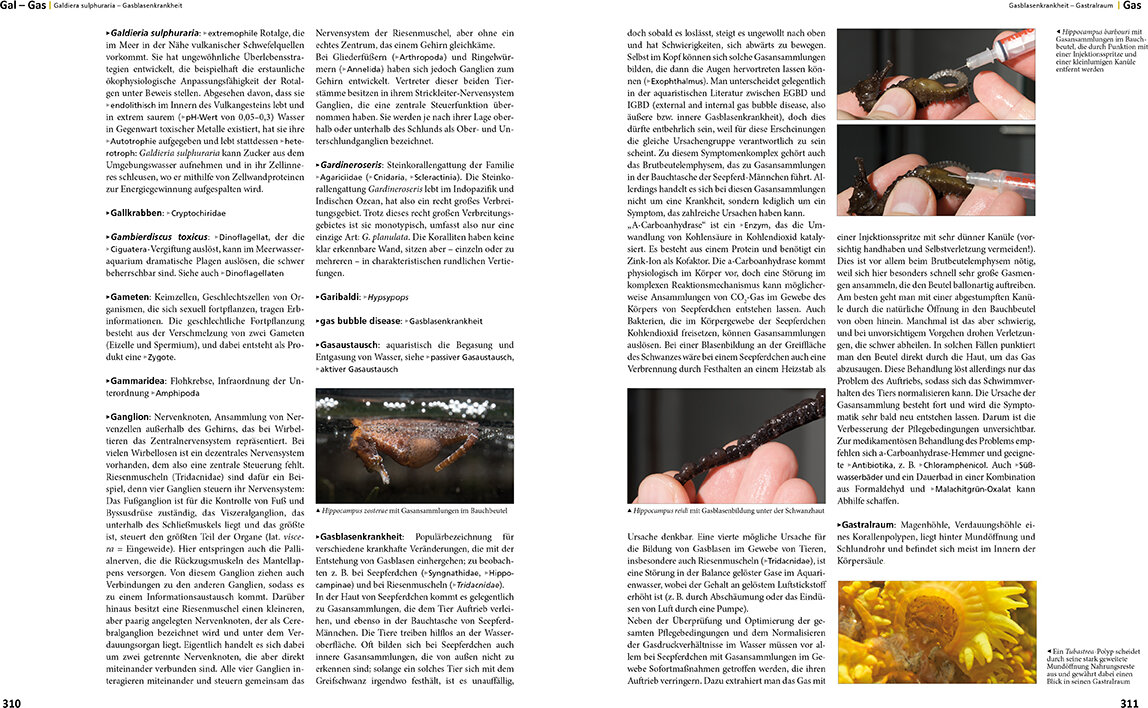 lesen