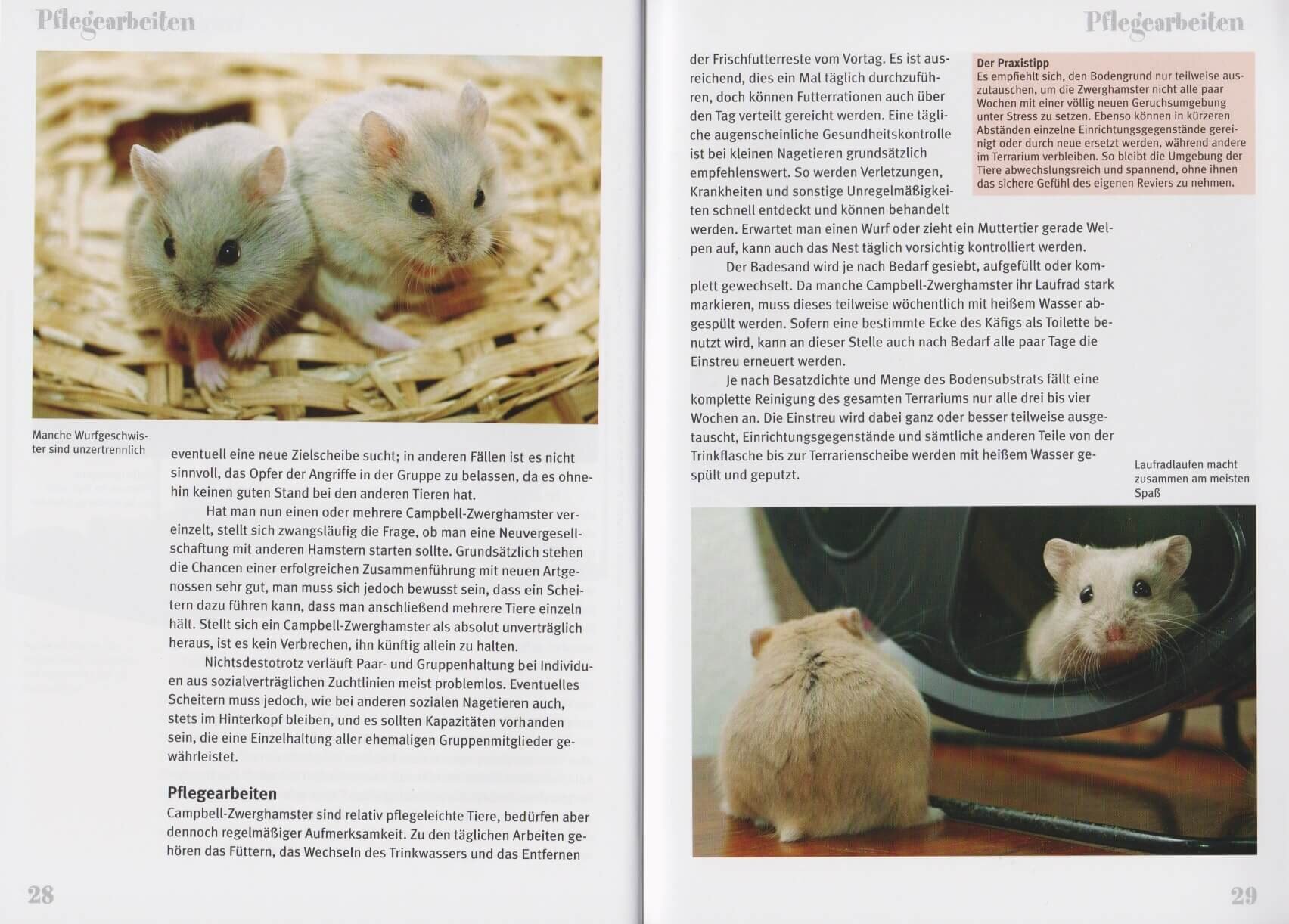 lesen