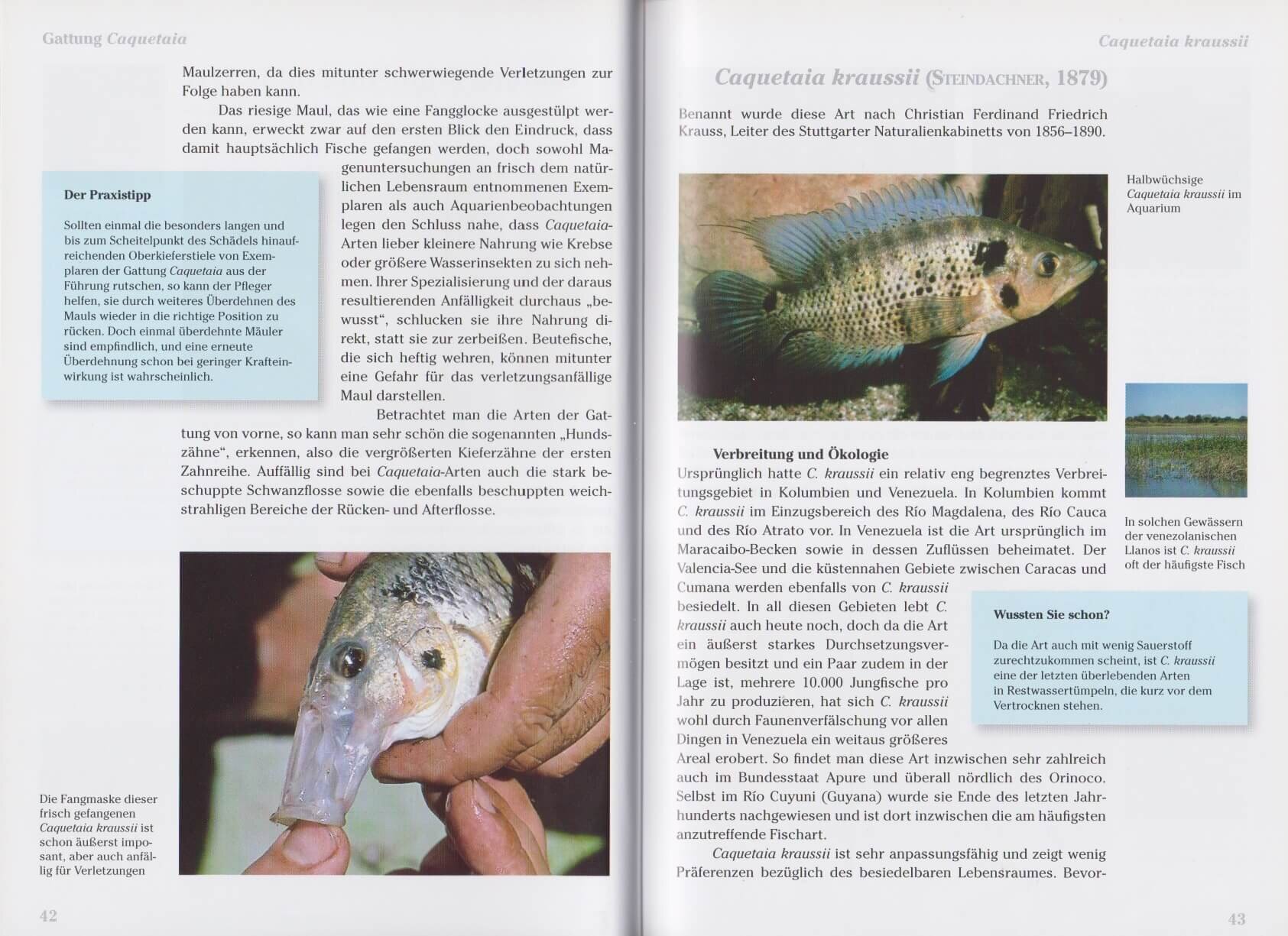 lesen