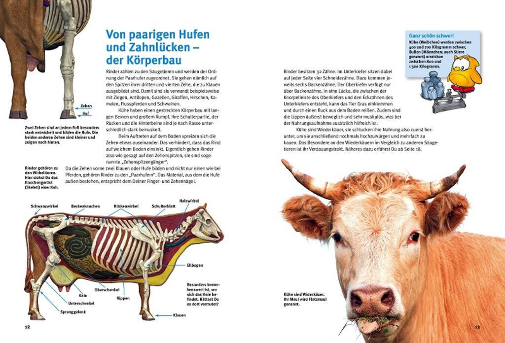 lesen