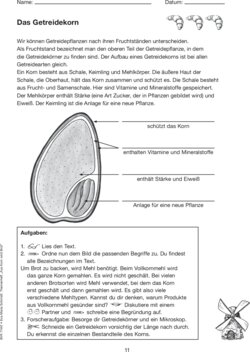 Leseprobe