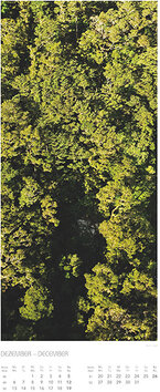 Innenansicht 12