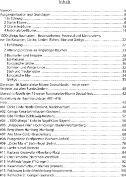 Inhaltsverzeichnis 1