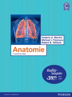 Inhaltsverzeichnis