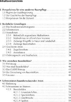 Inhaltsverzeichnis 1