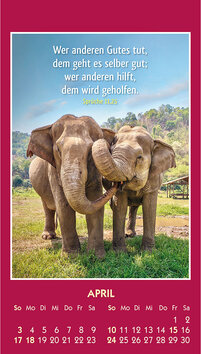 Innenansicht 4